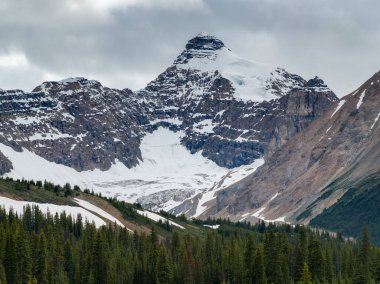 Karlı dağ sırası, Icefield Parkway, Alberta, Kanada