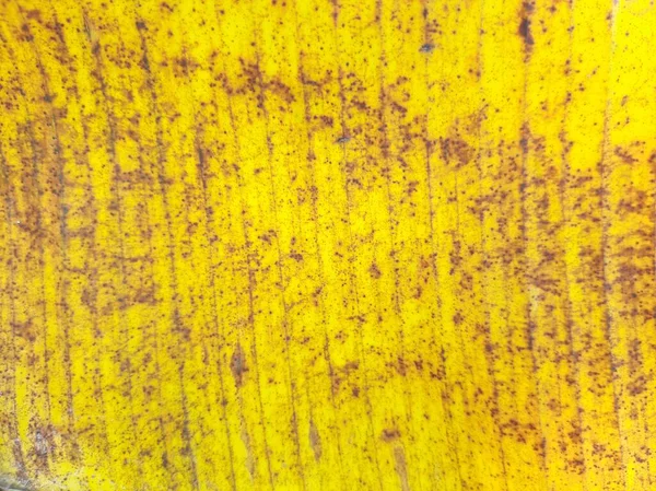 eski muz yaprağı dokusu