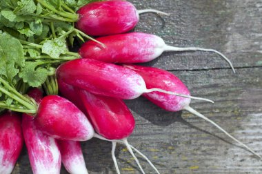 Red radish french breakfast clipart
