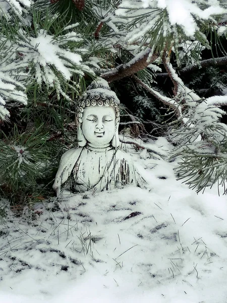 Garden Buddha Statue Covered Snow Winter Garden Background Pine Branches — Stock Photo, Image