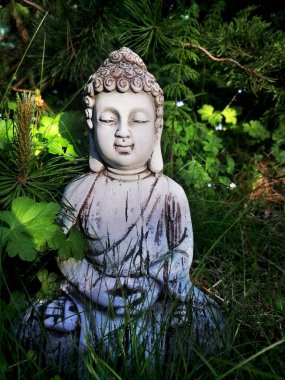 Bahçe Buda heykeli yeşillik çimenler ve çam dalları arasında yazın. Mobil fotoğrafçılık. Yoga, Budizm, meditasyon temaları için resim.