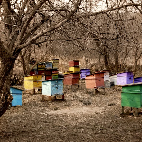 Rural apairy in late autumn — Stock Photo, Image