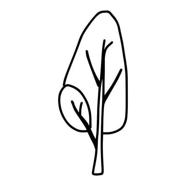 Czarny Zarys Strony Rysunek Wektor Ilustracja Liściastego Drzewa Odizolowanego Białym — Wektor stockowy