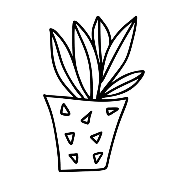 Fekete vázlat rajz vektor illusztráció egy dekoratív növény Sansevieria egy edényben elszigetelt fehér alapon — Stock Vector