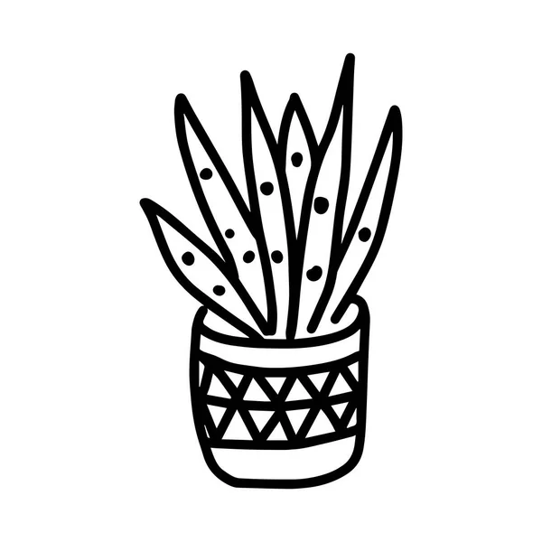 Esquema negro dibujo a mano vector ilustración de una planta decorativa Sansevieria en una olla aislada sobre un fondo blanco — Vector de stock