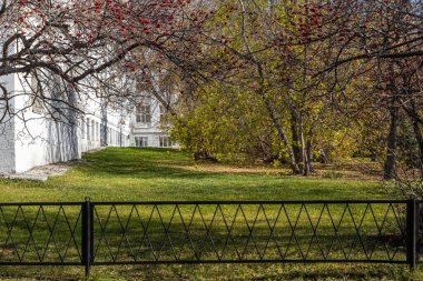 Yaprakları olmayan parlak kırmızı dikenli böğürtlenler sonbaharda bir parkta.