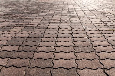 Gri asfaltlı yolun dokusu sonbaharda parkta.