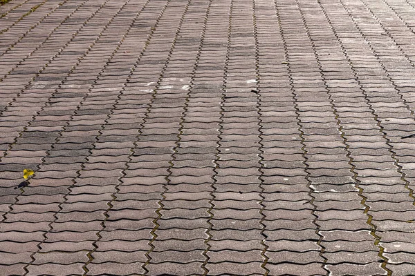 Uma Textura Caminho Pavimentado Cinza Está Parque Outono — Fotografia de Stock