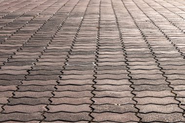 Gri asfaltlı yolun dokusu sonbaharda parkta.