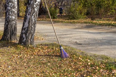 Güzel park sonbaharda. Dikey fotoğraf