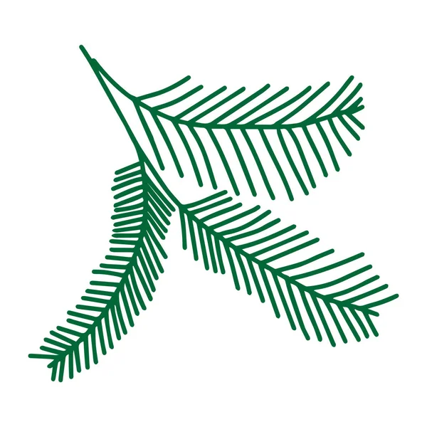 Esquema verde dibujo a mano vector ilustración de un abeto navideño tallado ramas aisladas sobre un fondo blanco — Vector de stock