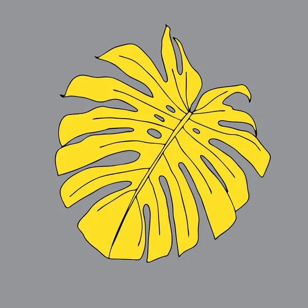 Ilustración de una monstera de hoja amarilla aislada sobre un fondo gris — Vector de stock