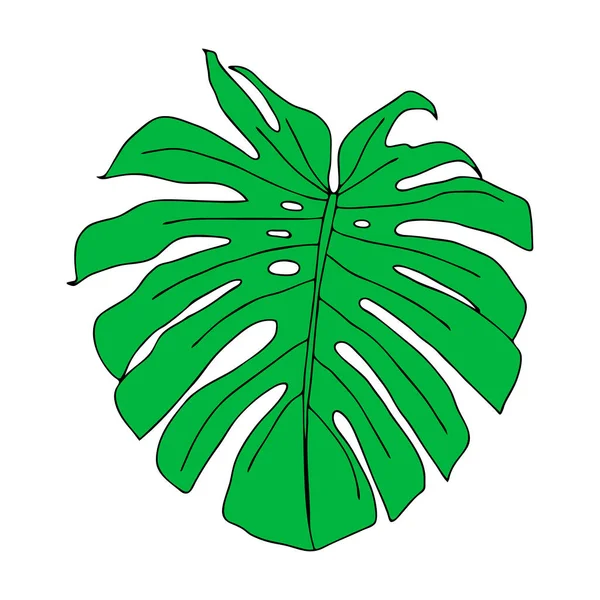 Illustrazione Una Foglia Verde Monstera Isolata Sfondo Bianco — Vettoriale Stock