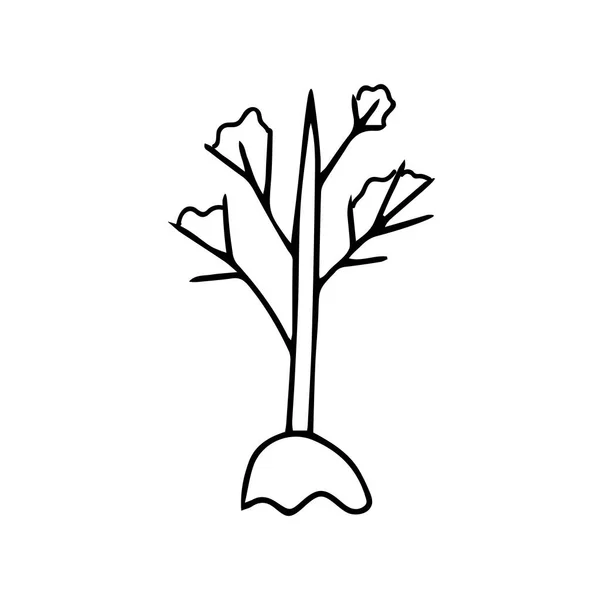 Schéma noir dessin à la main illustration vectorielle d'un arbre à feuilles caduques isolé sur fond blanc — Image vectorielle