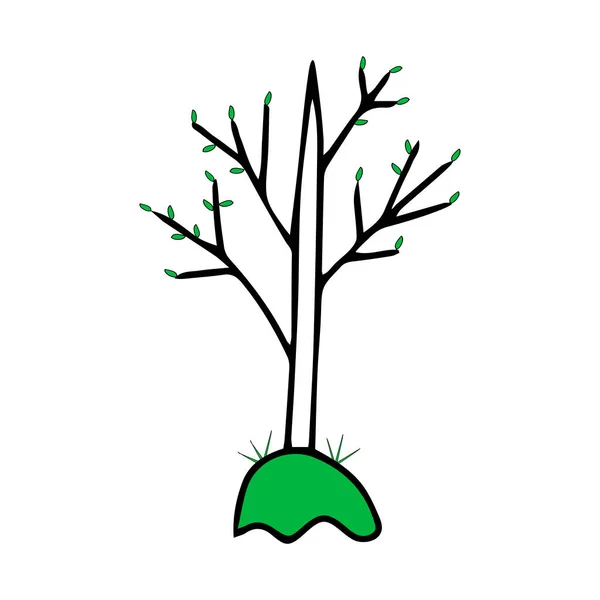 Esquema negro dibujo a mano vector ilustración de un árbol de hoja caduca con hojas verdes frescas en primavera aislado sobre un fondo blanco — Vector de stock