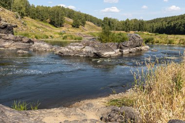 Yaz günü taşların ve ağaçların arasında dalgalı bir dağ nehri akar.