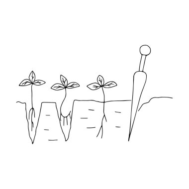 Beyaz arka planda izole edilmiş ahşap aletle küçük çilek bitkilerini tohumlayan bir Siyah çizgili el çizimi çizimi çizimi çizimi