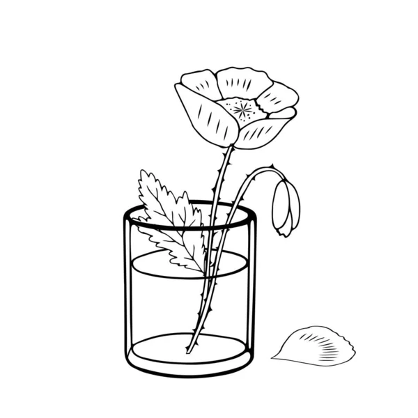 Black Vector Illustration One Poppy Flower Leaf Bud Transparent Glass — Stock Vector