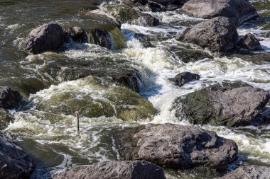 Yaz günü taşların arasında dalgalı bir dağ nehri akar.