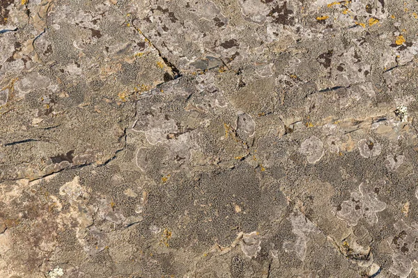 Een Horizontale Textuur Van Bruin Stenen Oppervlak Met Deuken Mos — Stockfoto
