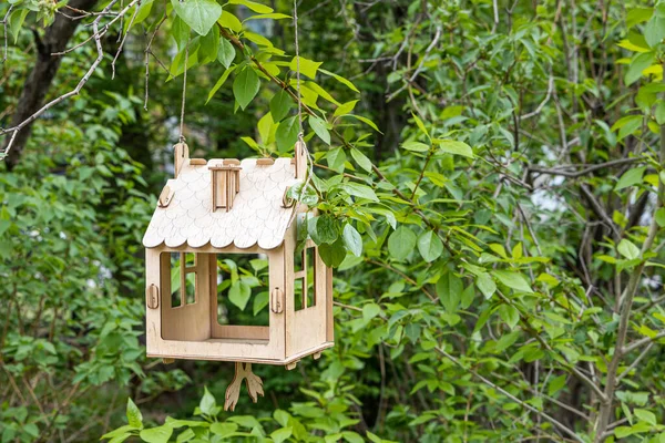 Gul Fågel Och Ekorre Matarhus Från Plywood Hänger Ett Grönt — Stockfoto