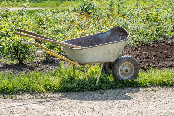 Trabalho Sobre Plantio Mudas Canteiro Flores Carrinho Parque Primavera Vemos — Fotografia de Stock