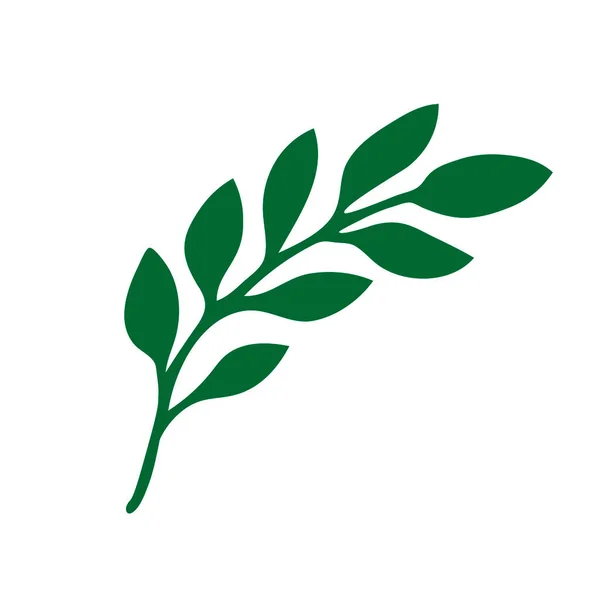 Beyaz arkaplanda yaprakları olan yeşil bir dalın tasviri