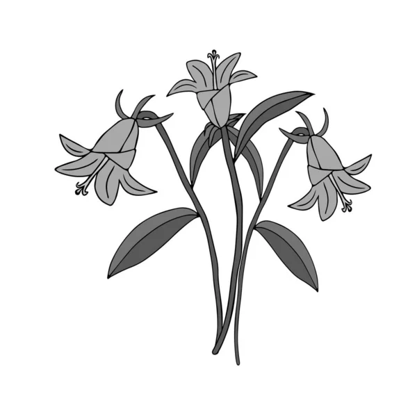 Une Illustration Vectorielle Grise Fleurs Cloche Bouquet Avec Des Feuilles — Image vectorielle