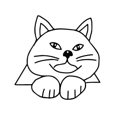 Bir El çizilmiş siyah vektör çizimi beyaz arka planda büyük gözleri olan güzel, şişman bir kedinin portresi.
