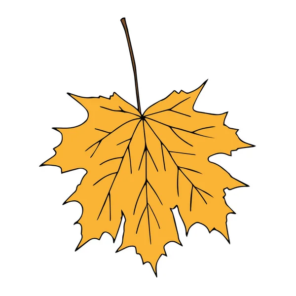 白地に孤立した一枚のオレンジのカエデの葉のイラスト — ストックベクタ