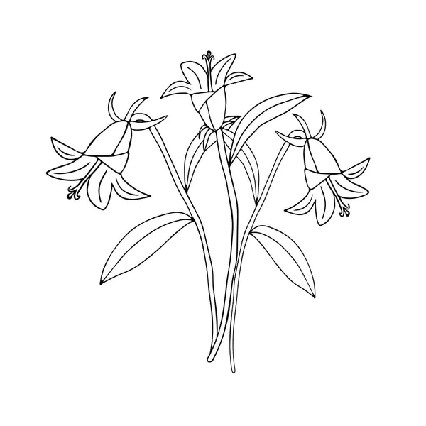 Une Illustration Vectorielle Noire Fleurs Cloche Bouquet Avec Des Feuilles — Image vectorielle