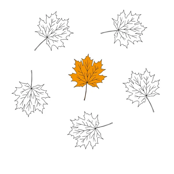 Illustration Groupe Feuilles Érable Noires Colorées Isolées Sur Fond Blanc — Image vectorielle