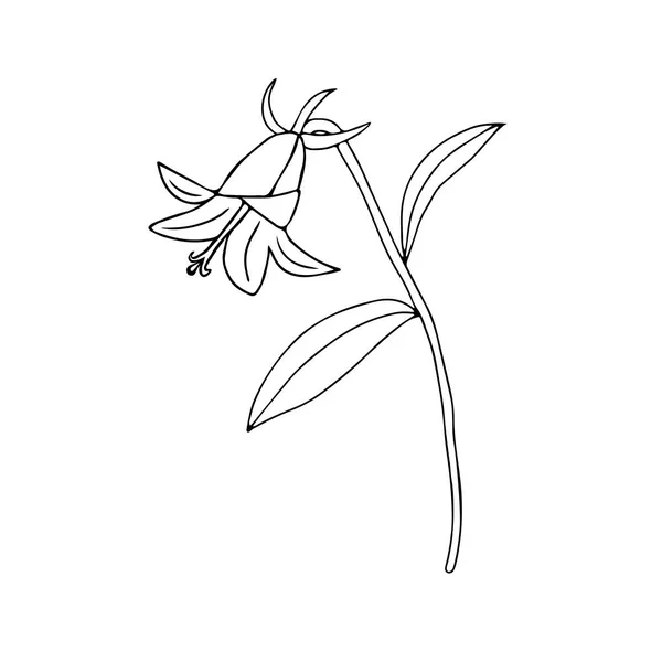 Une Illustration Vectorielle Noire Une Fleur Cloche Avec Des Feuilles — Image vectorielle