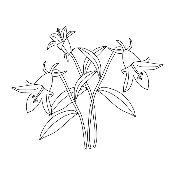 Une Illustration Vectorielle Noire Fleurs Cloche Bouquet Avec Des Feuilles — Image vectorielle