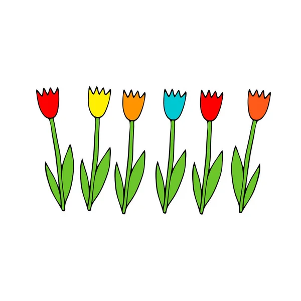 Uma Ilustração Vetorial Colorida Grupo Flores Tulipa Com Folhas Verdes — Vetor de Stock