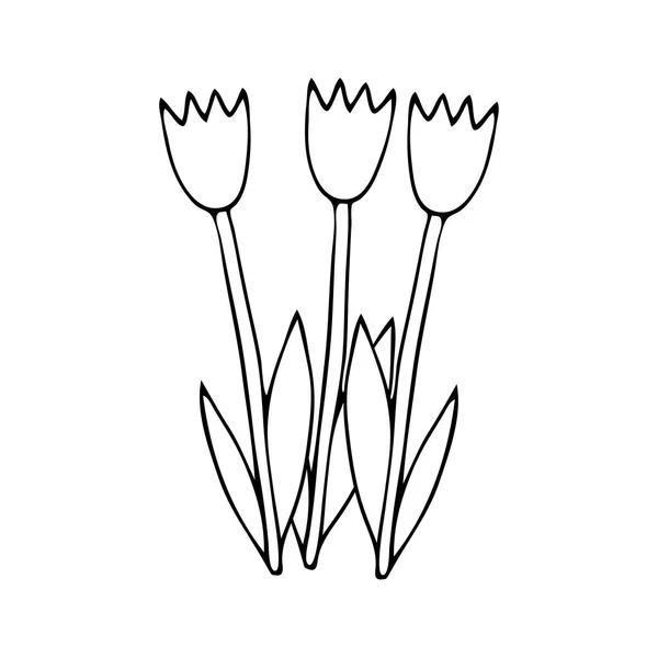 白い背景に葉が孤立した3つのチューリップの花のグループの黒ベクトル図 — ストックベクタ
