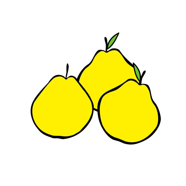 Esquema Vectorial Ilustración Grupo Tres Peras Amarillas Con Hojas Aisladas — Vector de stock