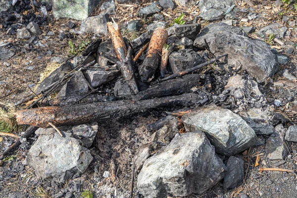 Γκρι και καφέ μεγάλες πέτρες και πεύκο κορμό για μια φωτιά είναι σε ένα τζάκι στο δάσος — Φωτογραφία Αρχείου