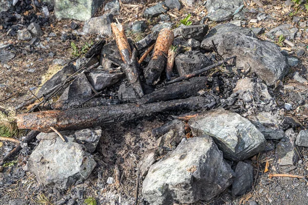 Gray and brown big stones and pine trunk for a bonfire are in a fireplace in the forest — Stock Photo, Image