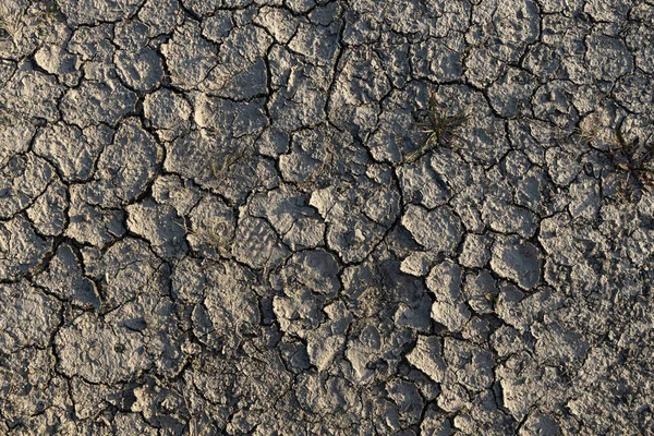 Beautiful Texture Gray Soil Cracks Summer — Stock Photo, Image