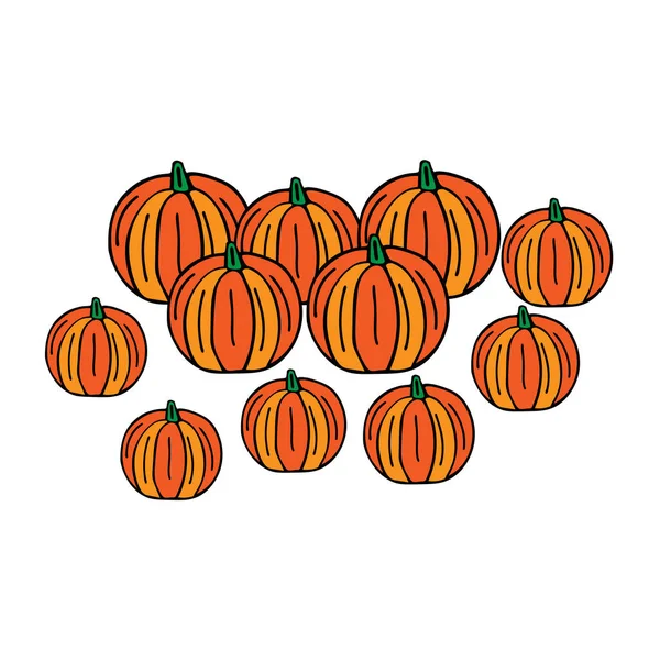 Group Beautiful Bright Orange Pumpkins Holiday Halloween Isolated White Background — Stock Vector