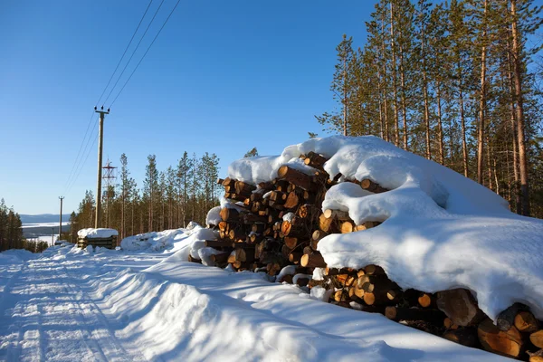 Deforestation in the clearing of power line — Stock Photo, Image