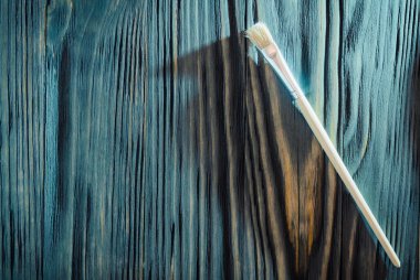 Boya fırçaları portre