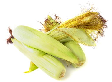 beyaz arkaplanda izole mısır