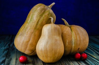 Balkabaklarıyla sonbahar sakin bir hayat