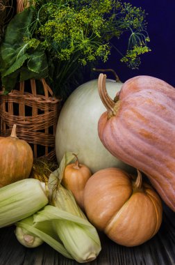 sonbaharda hasat natürmort