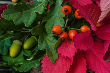 meyve ve sebze ile sonbahar natürmort