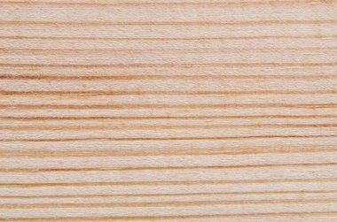 Çam ağacından arka plan, yakın plan fotoğraf..