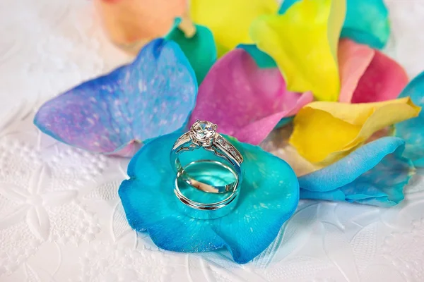 Snubní prsteny na rainbow růže okvětní lístek — Stock fotografie