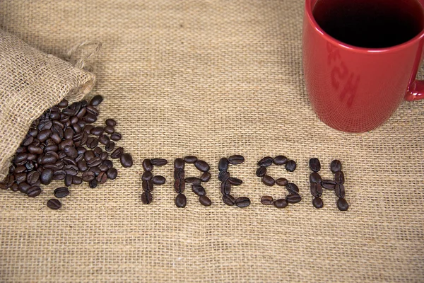 Frische Kaffeebohnen auf Büschel — Stockfoto